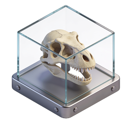 Dinosaur Skull Display Case Isometric Icon