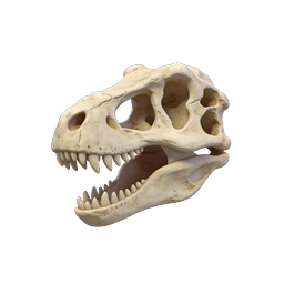 Dinosaur Skull 3D Icon - Prehistoric Fossil Design