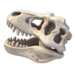 Realistic Dinosaur Skull 3D Render Icon