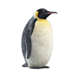 Realistic Emperor Penguin Standing Icon - Wildlife PNG