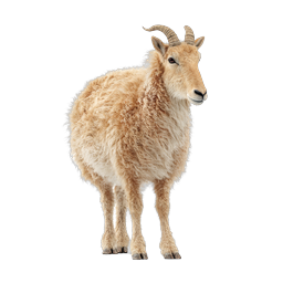 Realistic Fluffy Sheep with Curved Horns Icon