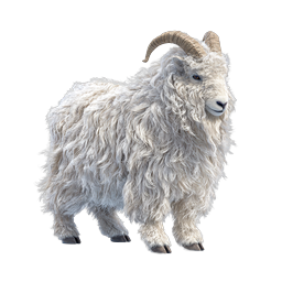 Fluffy White Ram Realistic Animal Icon