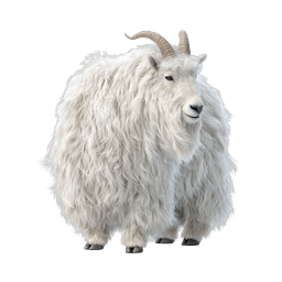 Fluffy White Sheep Realistic Icon - Farm Animal
