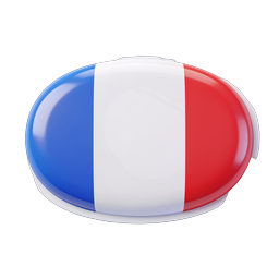 France Flag Icon - 3D Glossy Oval Tricolor Design