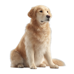 Golden Retriever Dog Icon - Realistic Pet Illustration