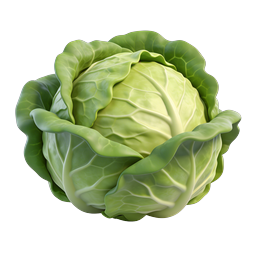 Fresh Green Cabbage Icon - Realistic 3D Render