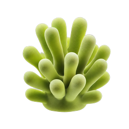 Green Coral Cluster 3D Icon - Marine Nature Illustration