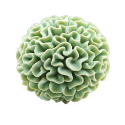 Green Flower Bud Icon - Realistic Botanical Illustration