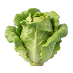 Fresh Green Lettuce Icon for Healthy Eating