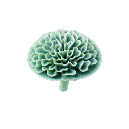 Green Mushroom Gills 3D Nature Icon - Realistic Render