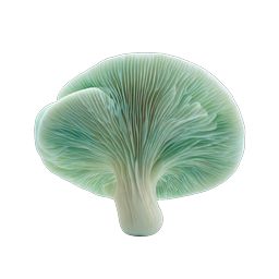 Realistic Green Mushroom Icon - Organic Nature Design
