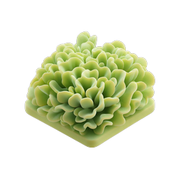 Green Succulent Plant 3D Icon - Botanical Nature Design