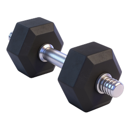 Hexagonal Dumbbell Icon | Realistic 3D Fitness Weight