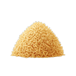 インド料理