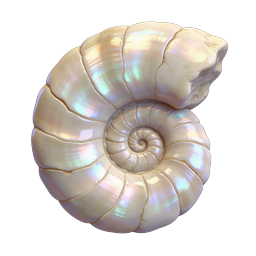 Iridescent Nautilus Shell Icon - Realistic 3D Render