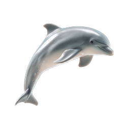 Jumping Dolphin Icon - Realistic Marine Life Illustration
