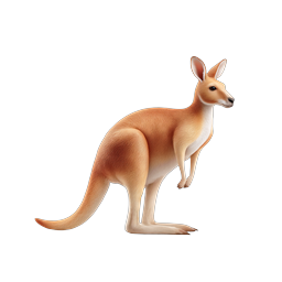 Realistic Kangaroo Wildlife Icon