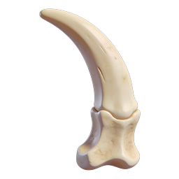 3D Knee Joint Bone Anatomy Icon | Medical Illustration