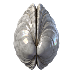 Marble Brain Icon - 3D Realistic Anatomy