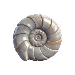Marble Nautilus Shell 3D Icon - Elegant Spiral Design