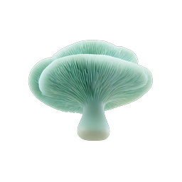 Mint Green Mushroom 3D Nature Icon
