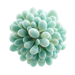 Mint Green Succulent Plant 3D Icon | Botanical Nature
