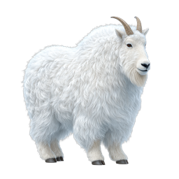 Realistic Mountain Goat Icon - Detailed Wildlife Illustration