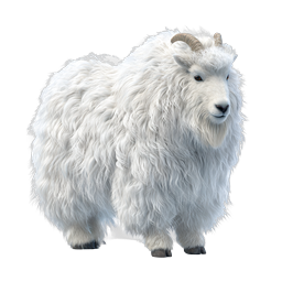 Realistic Mountain Goat White Woolly Wildlife Icon