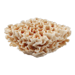 Realistic Mushroom Cluster Icon - Nature Fungus Illustration