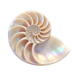 Iridescent Nautilus Shell Icon - Pearl Spiral Design