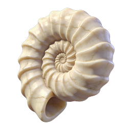 Realistic Nautilus Shell Icon | 3D Rendered Spiral Seashell