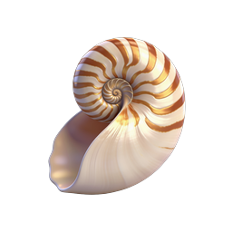 Nautilus Shell 3D Icon - Golden Spiral Pattern