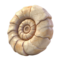 Nautilus Shell 3D Icon - Realistic Marine Spiral Design