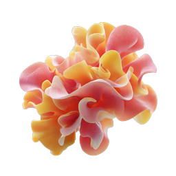 Orange Coral Flower 3D Render Icon