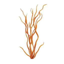Orange Coral Marine Plant 3D Icon | Ocean Nature Design