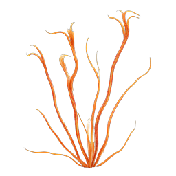 Ícone de natureza de juncos ondulados laranja | Ilustração realista de caules de plantas