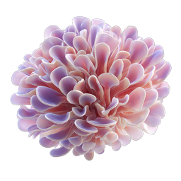 Pearl Pink Purple Dahlia Flower 3D Icon