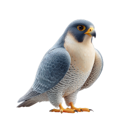 Realistisches Icon eines Wanderfalken