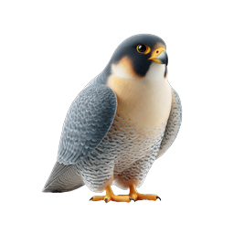 Realistisches Wanderfalken-Icon | Greifvogel