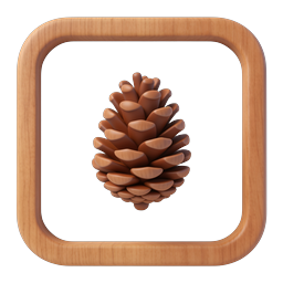 Pine Cone in Wooden Frame Nature Icon