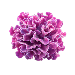 Pink Carnation Flower Icon - Beautiful 3D Botanical Design