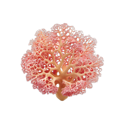 Pink Coral Lattice 3D Icon - Marine Nature Design