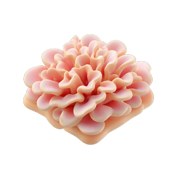 Pink Flower Bloom Icon - Realistic 3D Botanical Design