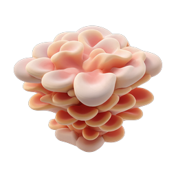 Pink Oyster Mushroom Cluster 3D Icon