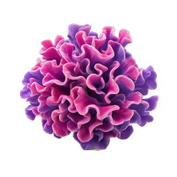 Pink Purple Carnation Flower 3D Icon | Nature Collection