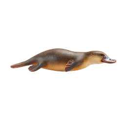 Realistic Platypus Icon - Australian Wildlife Illustration