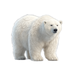リアルなホッキョクグマのアイコン - 北極の野生動物グラフィック