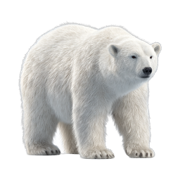 Realistic Polar Bear Icon - Arctic Wildlife Animal