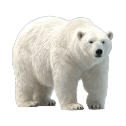 Realistic Polar Bear Wildlife Icon - Arctic Animal