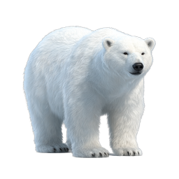 Icona orso polare realistica - Illustrazione della fauna artica